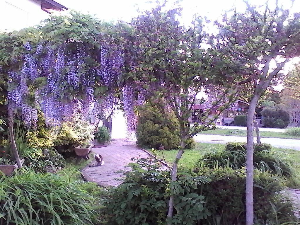 B&B CM Ranch Cuneo Exterior foto